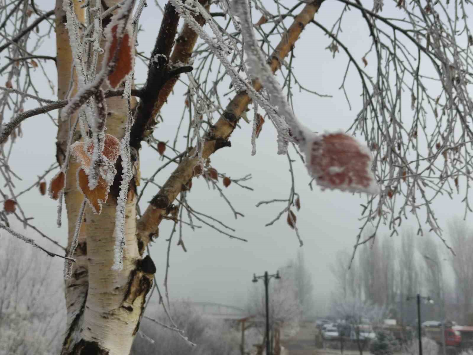 hava sicakliginin eksi 146 dereceye dustugu gole buz tuttu 10 yuqVOFed