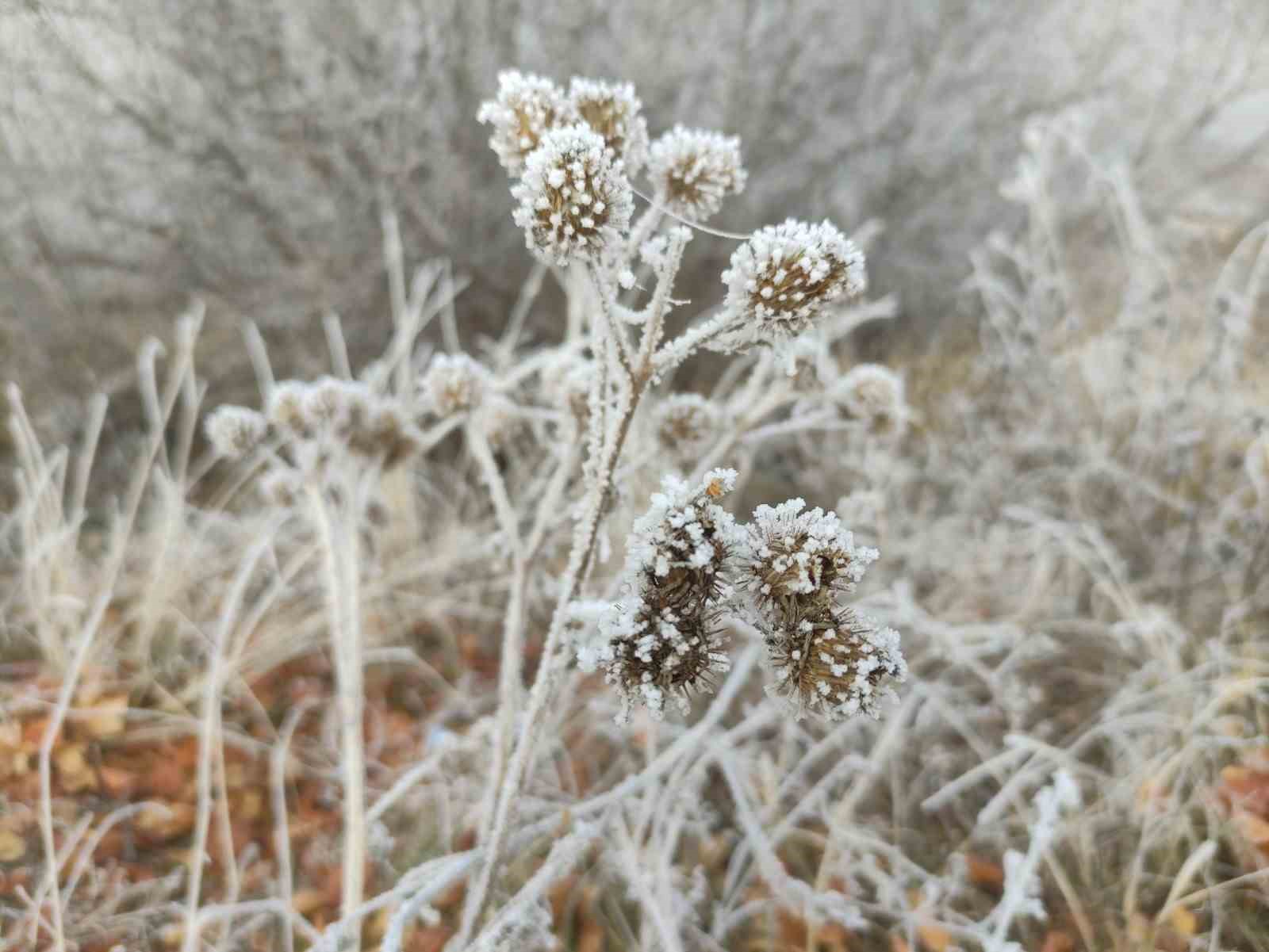 hava sicakliginin eksi 146 dereceye dustugu gole buz tuttu 11 2UAu1DBh
