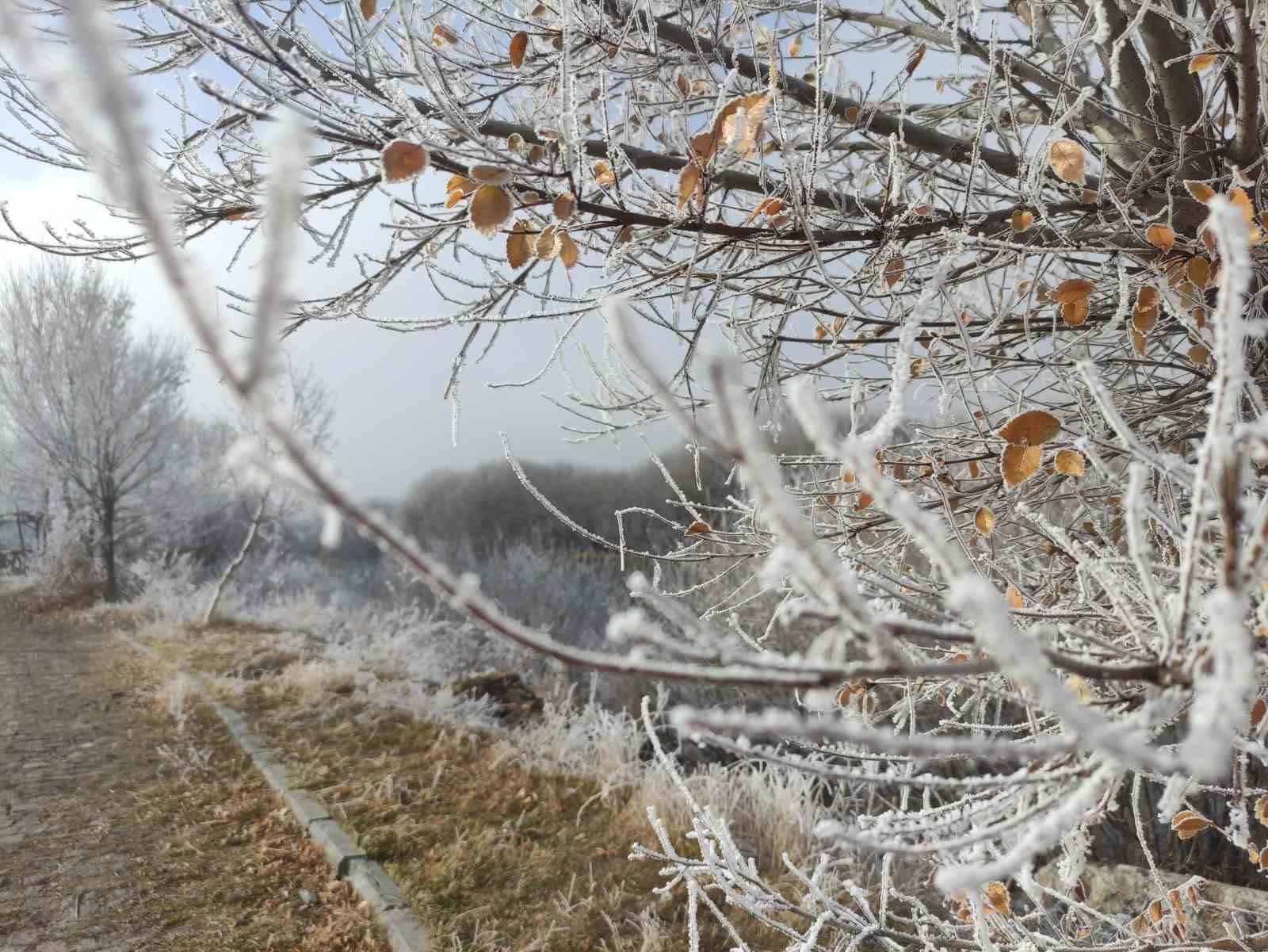 hava sicakliginin eksi 146 dereceye dustugu gole buz tuttu 3