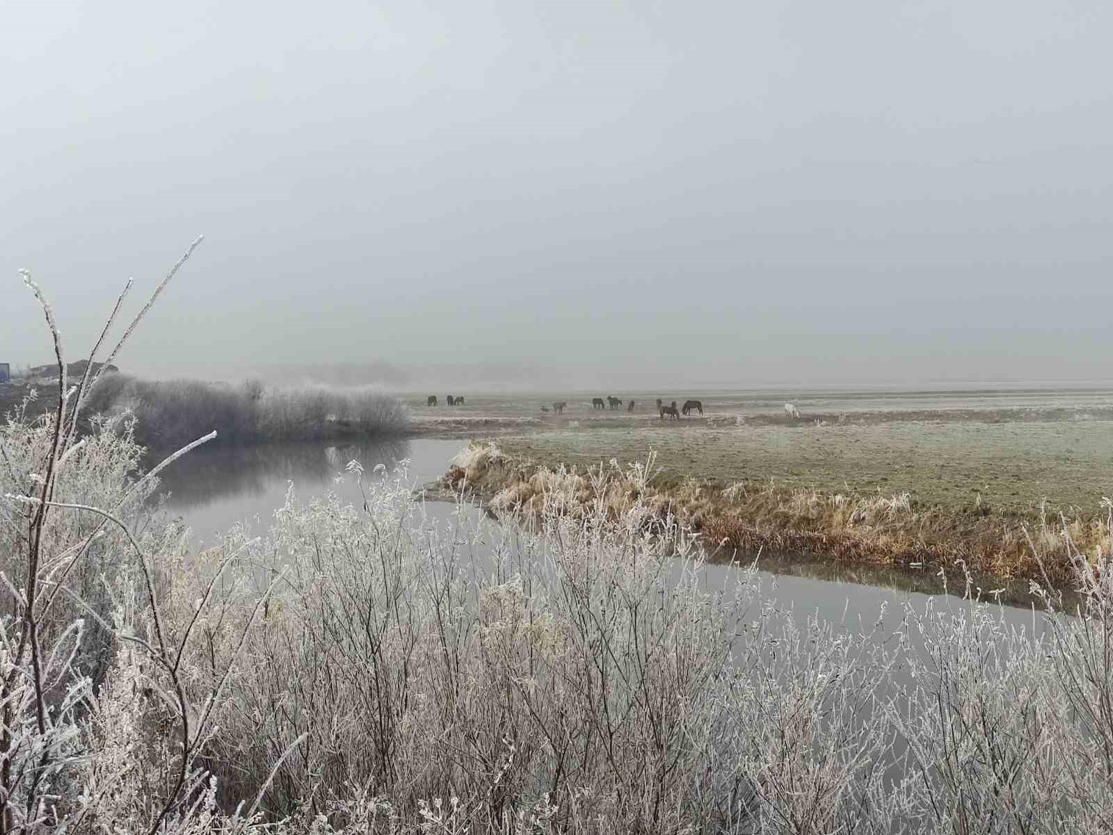 hava sicakliginin eksi 146 dereceye dustugu gole buz tuttu 4 hzfWmpvg