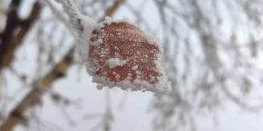 hava-sicakliginin-eksi-146-dereceye-dustugu-gole-buz-tuttu-mQ8QqUPN.jpg