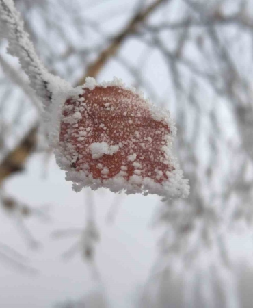hava-sicakliginin-eksi-146-dereceye-dustugu-gole-buz-tuttu-mQ8QqUPN.jpg