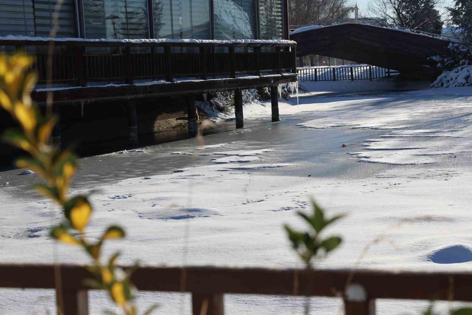 hava sicakliklarinin eksi 13u gordugu kentte sus havuzlari dondu 27 efrFiEGz