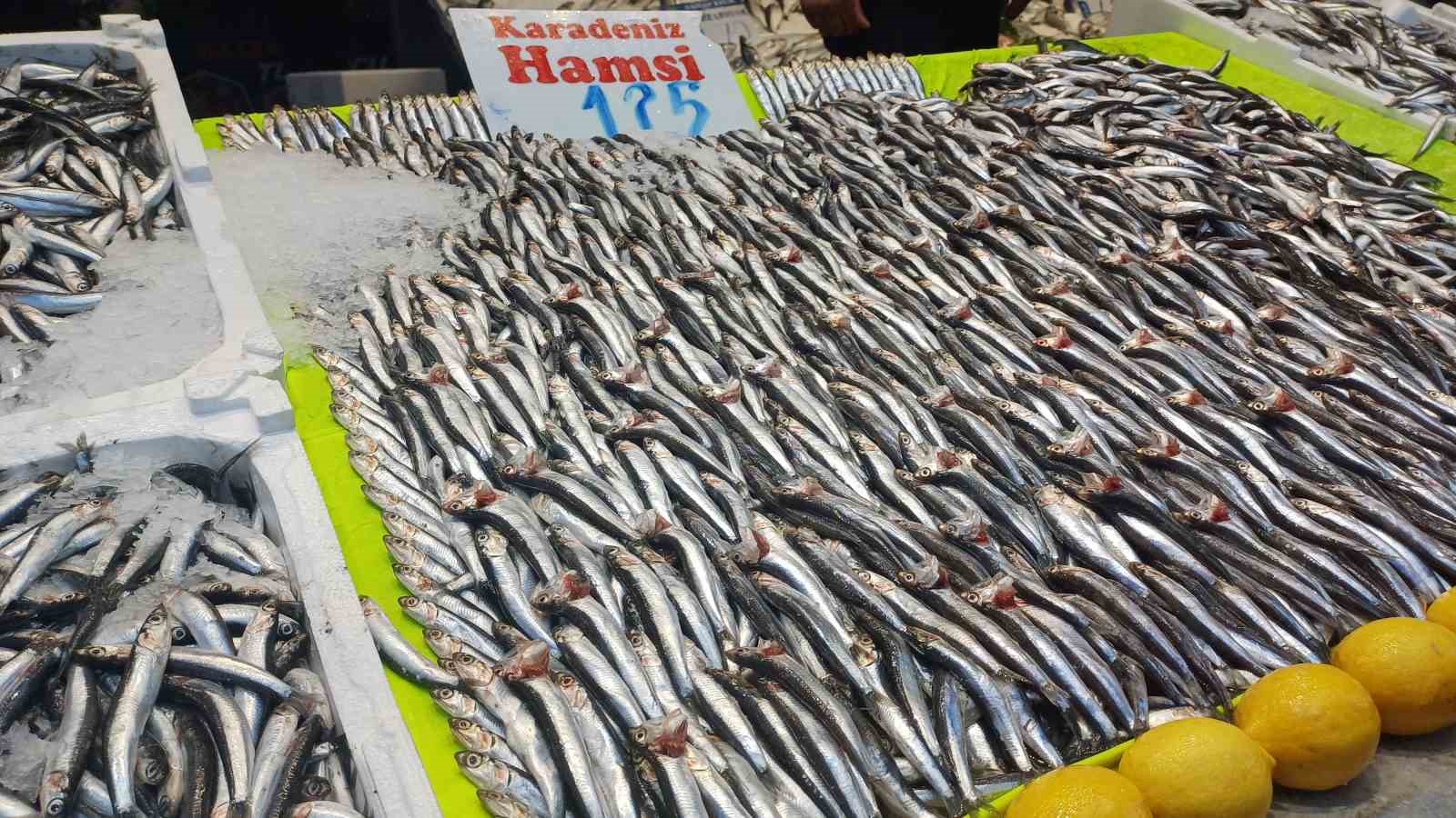hava sogudu hamsi geri dondu 3 SENUaMHi