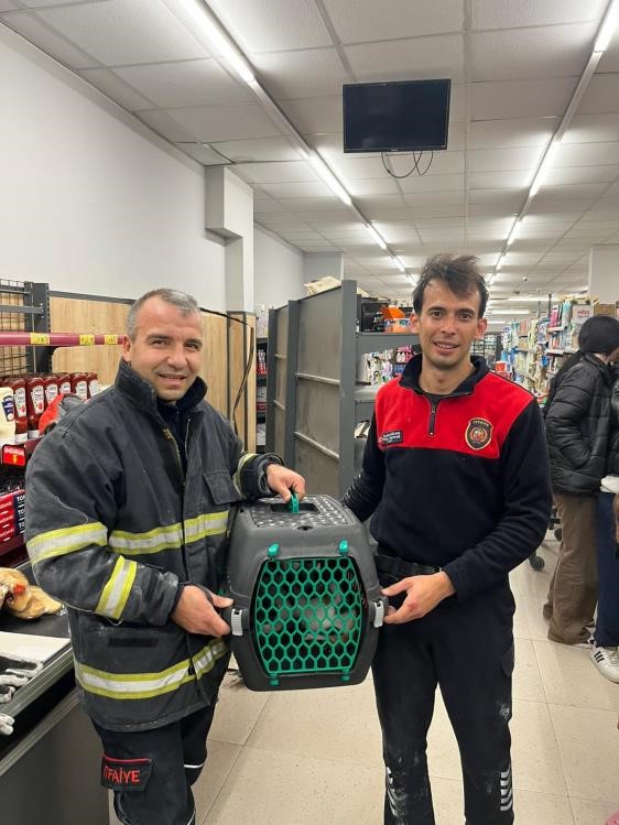 havalandirma boslugunda mahsur kalan kediyi itfaiye kurtardi 2 bXm4OGR7
