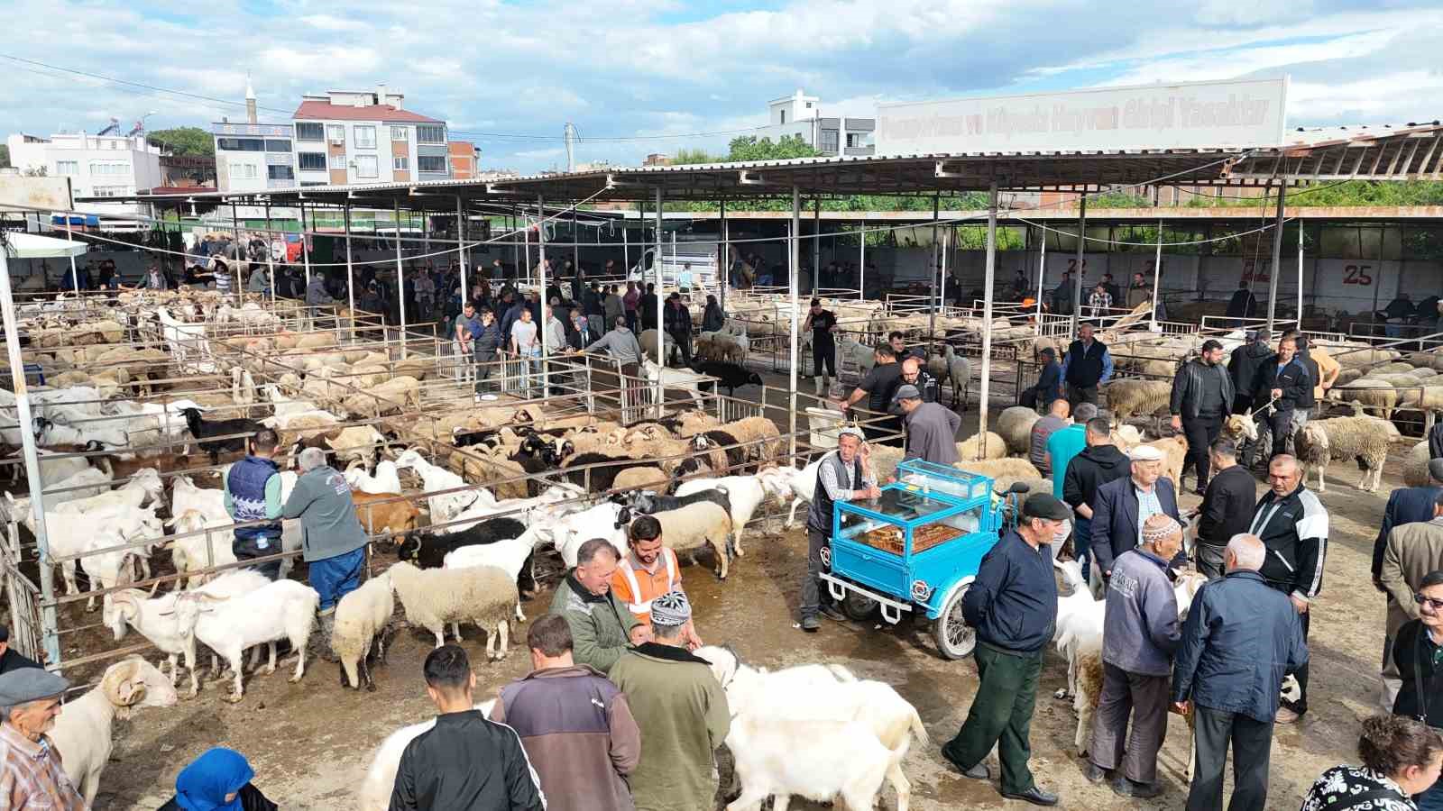 havran hayvan pazarinda tarihi arefe yogunlugu 10