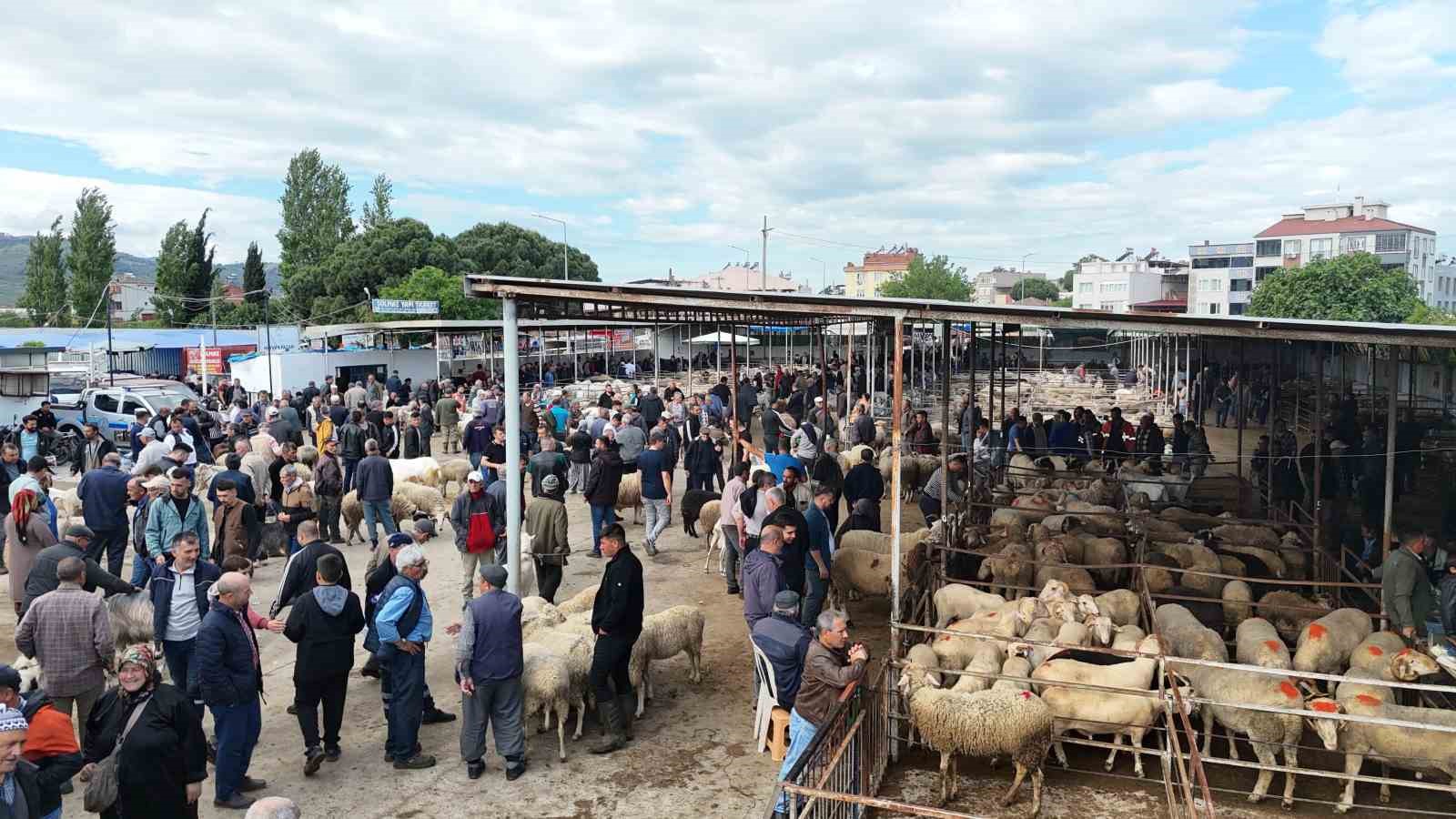 havran hayvan pazarinda tarihi arefe yogunlugu 11 CEzeAAH5