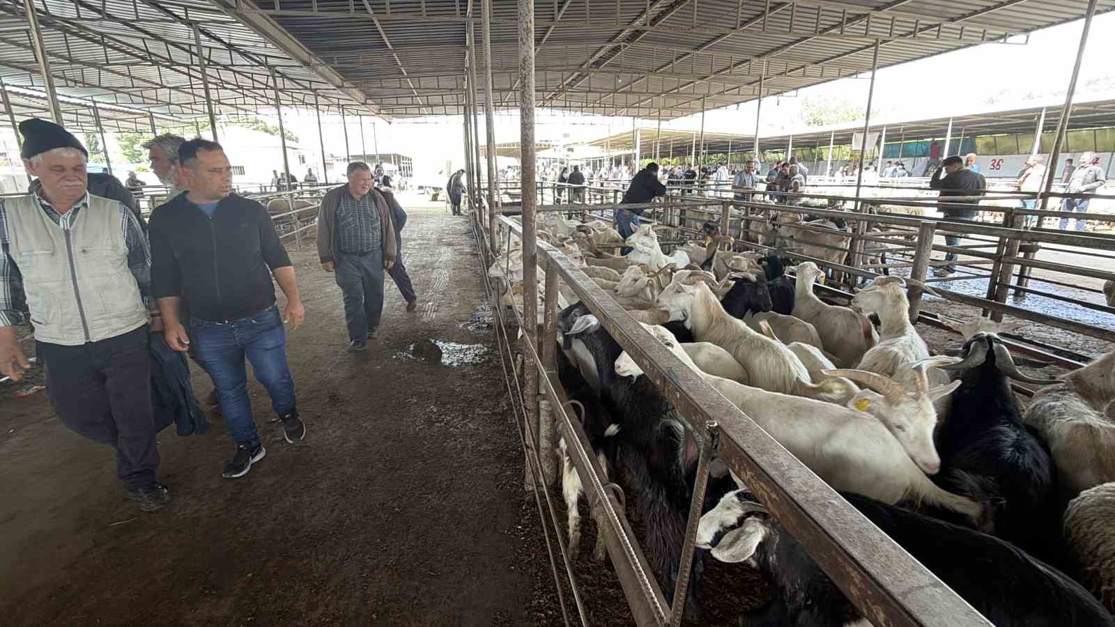 havran hayvan pazarinda tarihi arefe yogunlugu 4 3XZl49WY