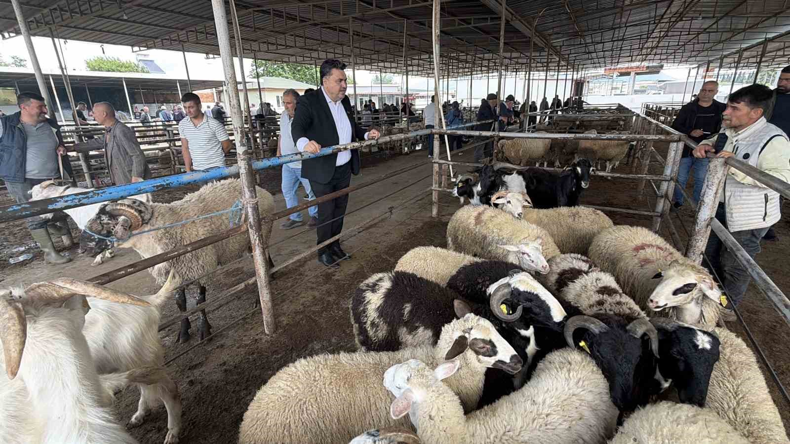 havran hayvan pazarinda tarihi arefe yogunlugu 5 HD1nfCcU
