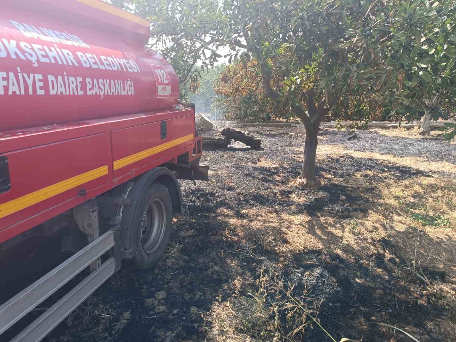 Havran’da zeytinlik yangını 7 havranda zeytinlik yangini 3 pKJdrEIU