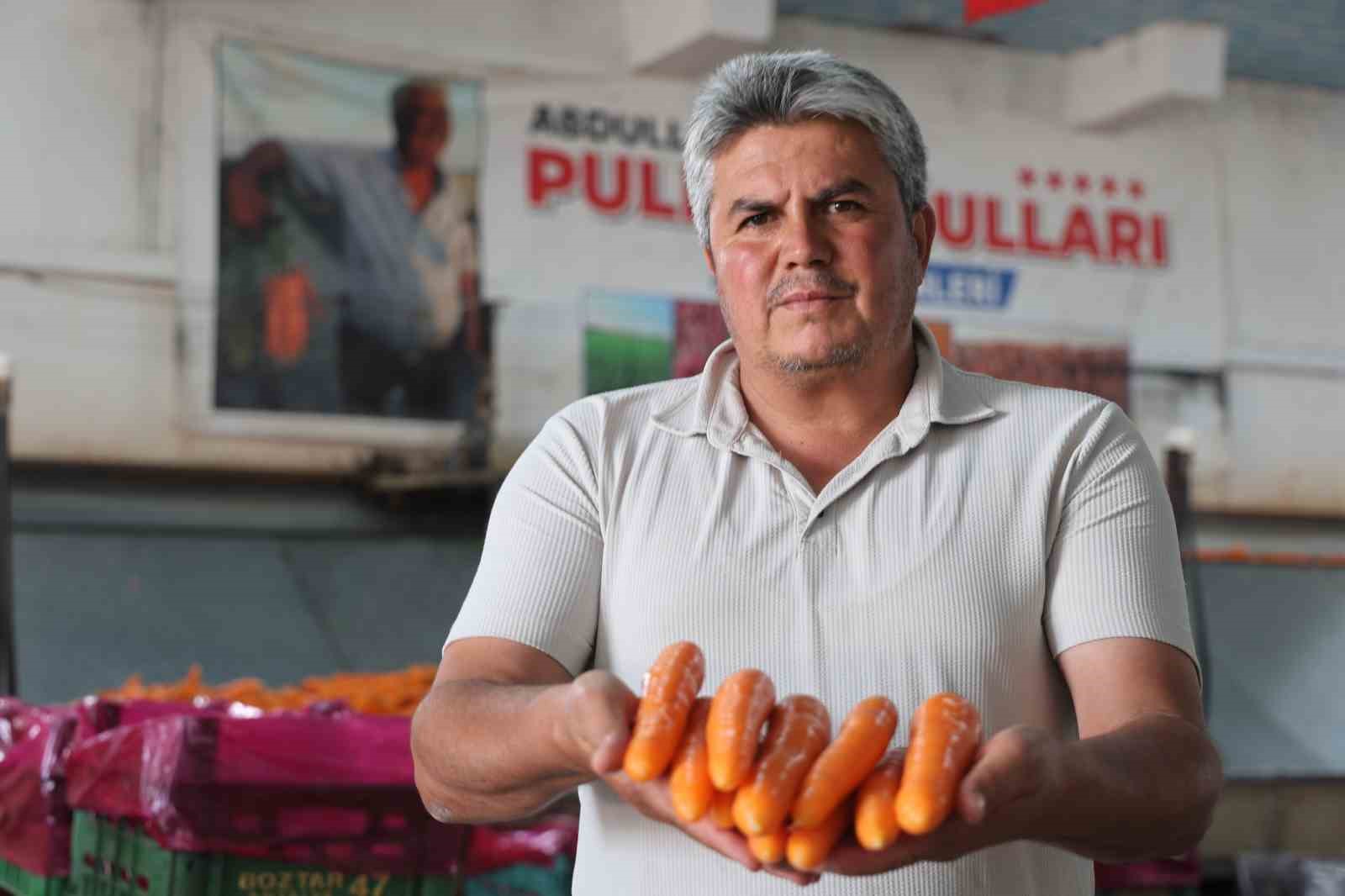 Havuç üretiminin yüzde 67’si Konya’dan 6 havuc uretiminin yuzde 67si konyadan 2 hdpM4bEE