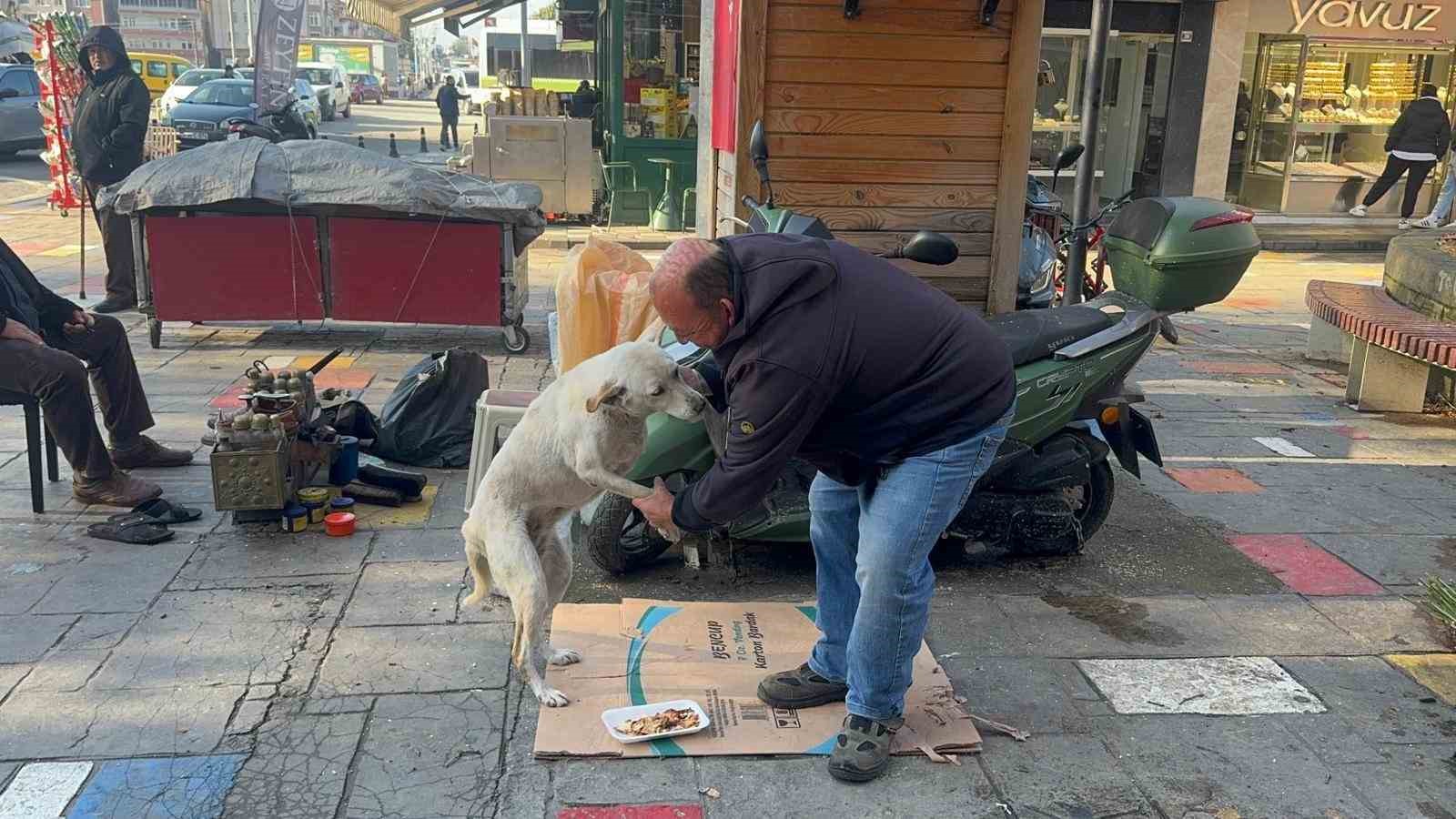 hayata tutunan engelli kopege bebek gibi bakiyor 1 nWmqhBA4