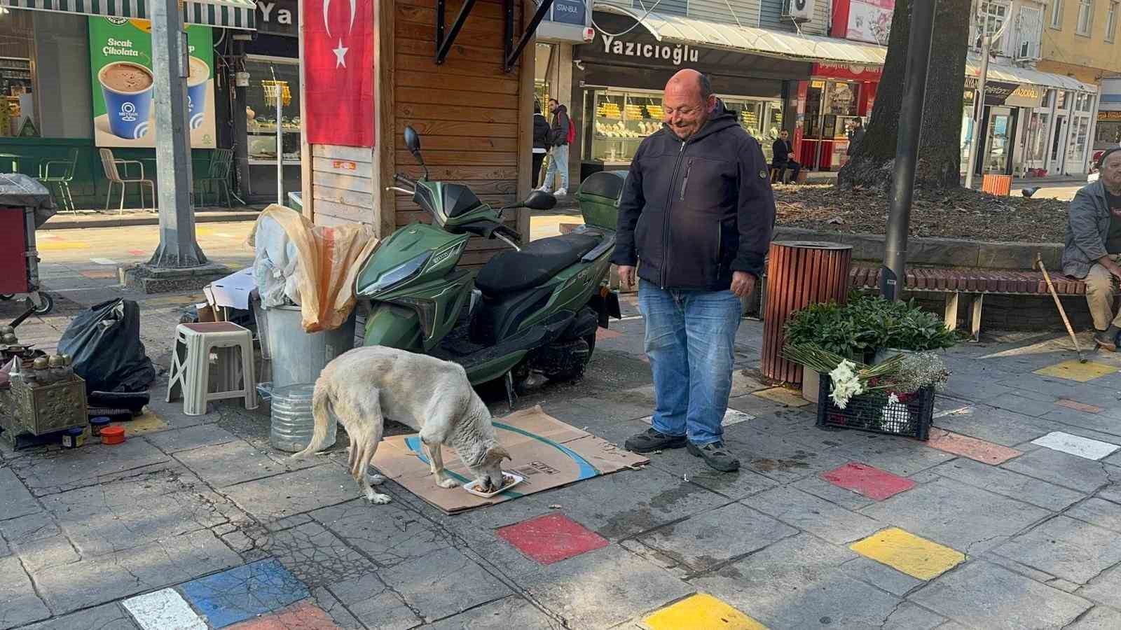 hayata tutunan engelli kopege bebek gibi bakiyor 2 RUwQ8Ui7