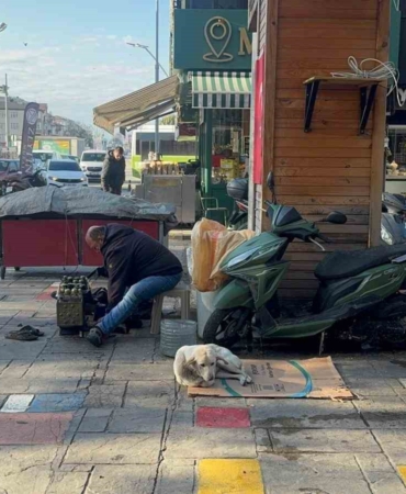 hayata-tutunan-engelli-kopege-bebek-gibi-bakiyor-MmcpP4p7.jpg