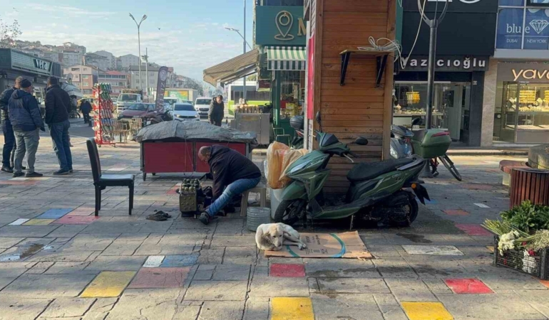 hayata-tutunan-engelli-kopege-bebek-gibi-bakiyor-MmcpP4p7.jpg