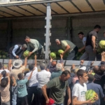 hayirsever-ciftci-30-ton-karpuzu-ucretsiz-dagitti-Wrmr9Z2O.jpg
