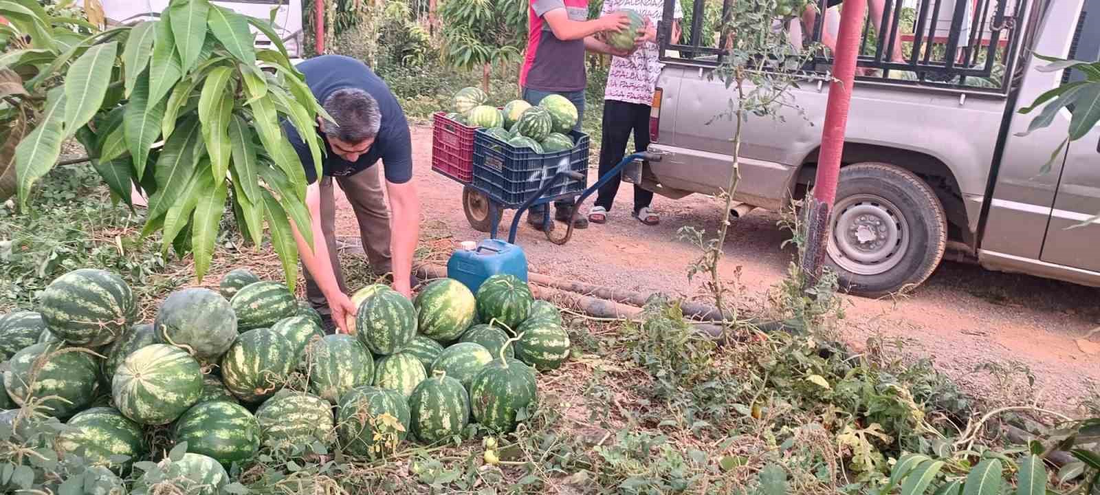 Hayırsever çiftçinin tarlası bu yıl öğrencilerin için hasat edildi 4 hayirsever ciftcinin tarlasi bu yil ogrencilerin icin hasat edildi 0 bMFQb3e3