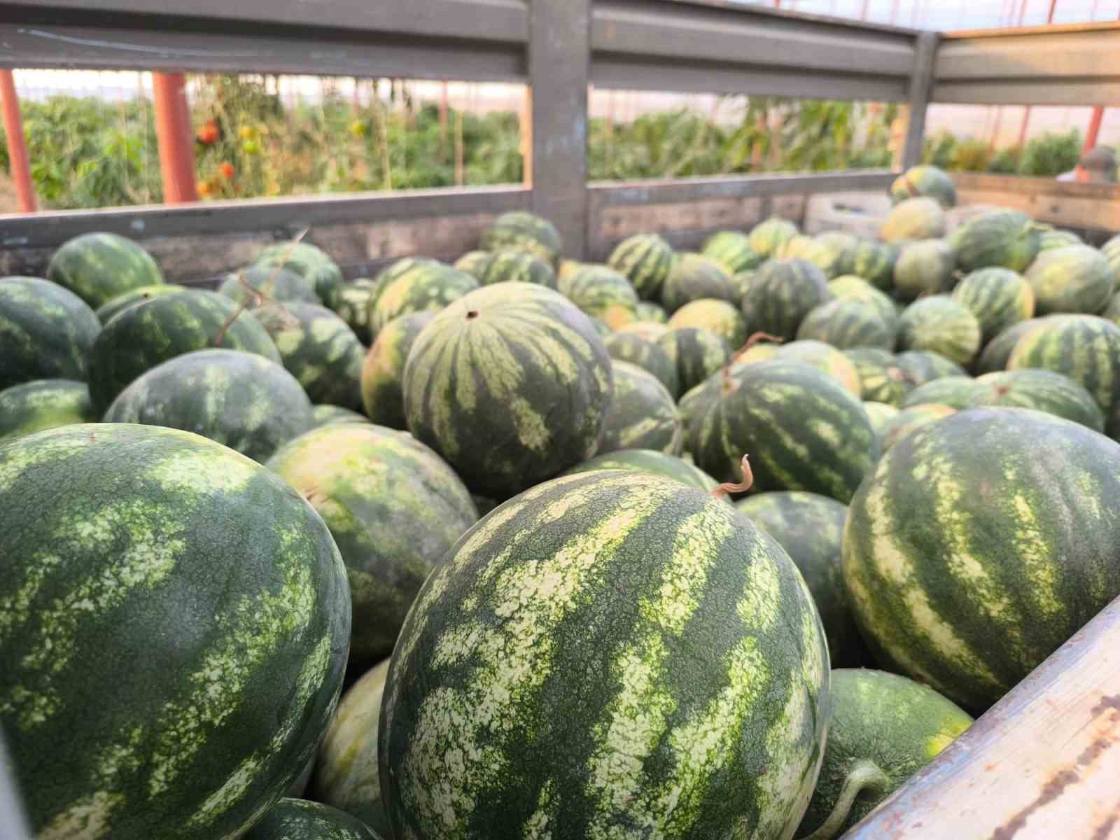 Hayırsever çiftçinin tarlası bu yıl öğrencilerin için hasat edildi 5 hayirsever ciftcinin tarlasi bu yil ogrencilerin icin hasat edildi 1 CEB1TuRV