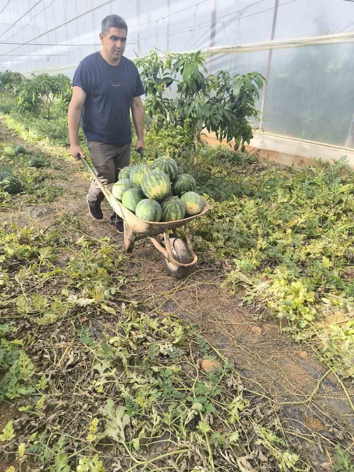 Hayırsever çiftçinin tarlası bu yıl öğrencilerin için hasat edildi 6 hayirsever ciftcinin tarlasi bu yil ogrencilerin icin hasat edildi 2 VYDdUaGN