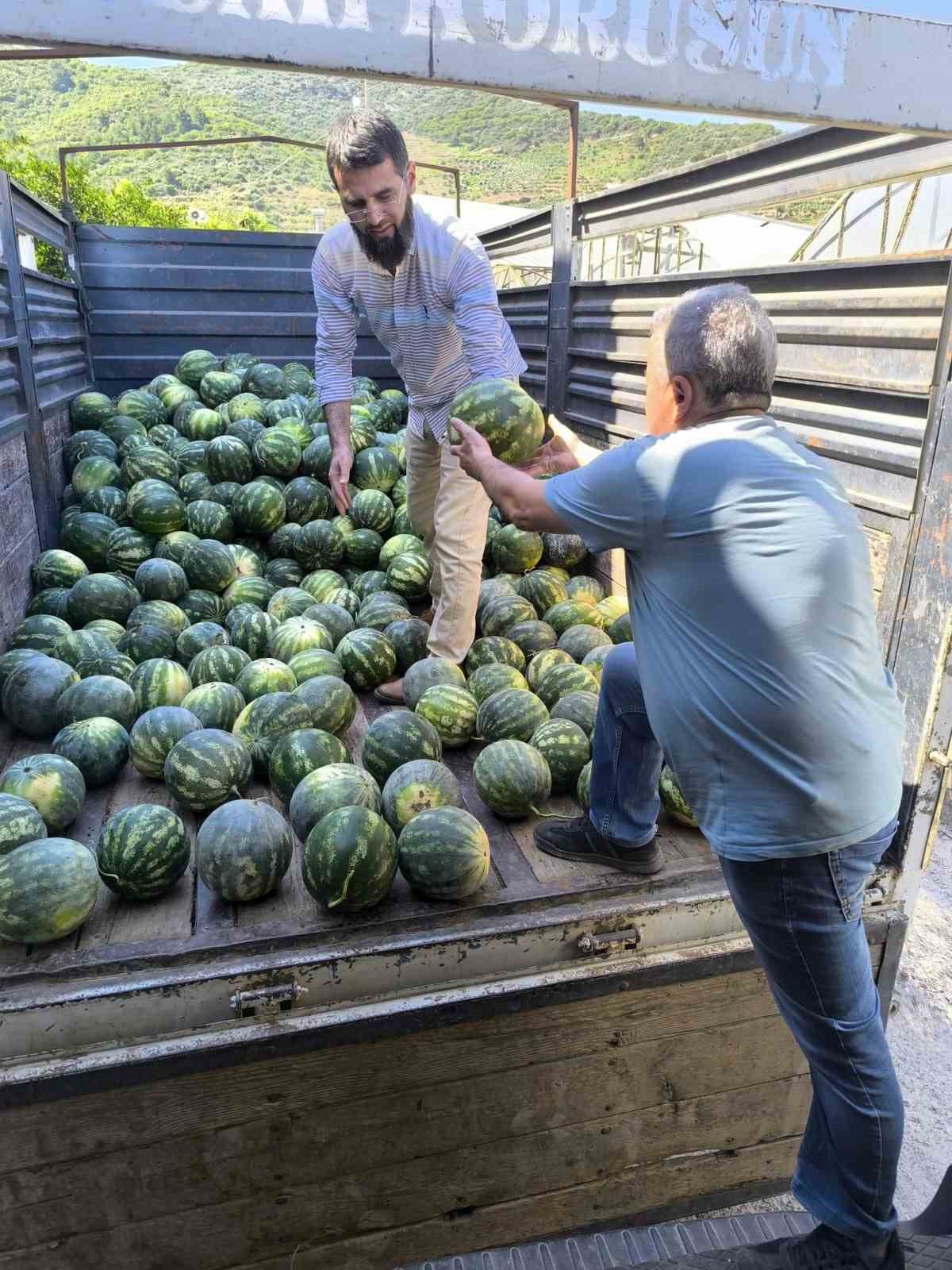 Hayırsever çiftçinin tarlası bu yıl öğrencilerin için hasat edildi 7 hayirsever ciftcinin tarlasi bu yil ogrencilerin icin hasat edildi 3 zE6wztB3