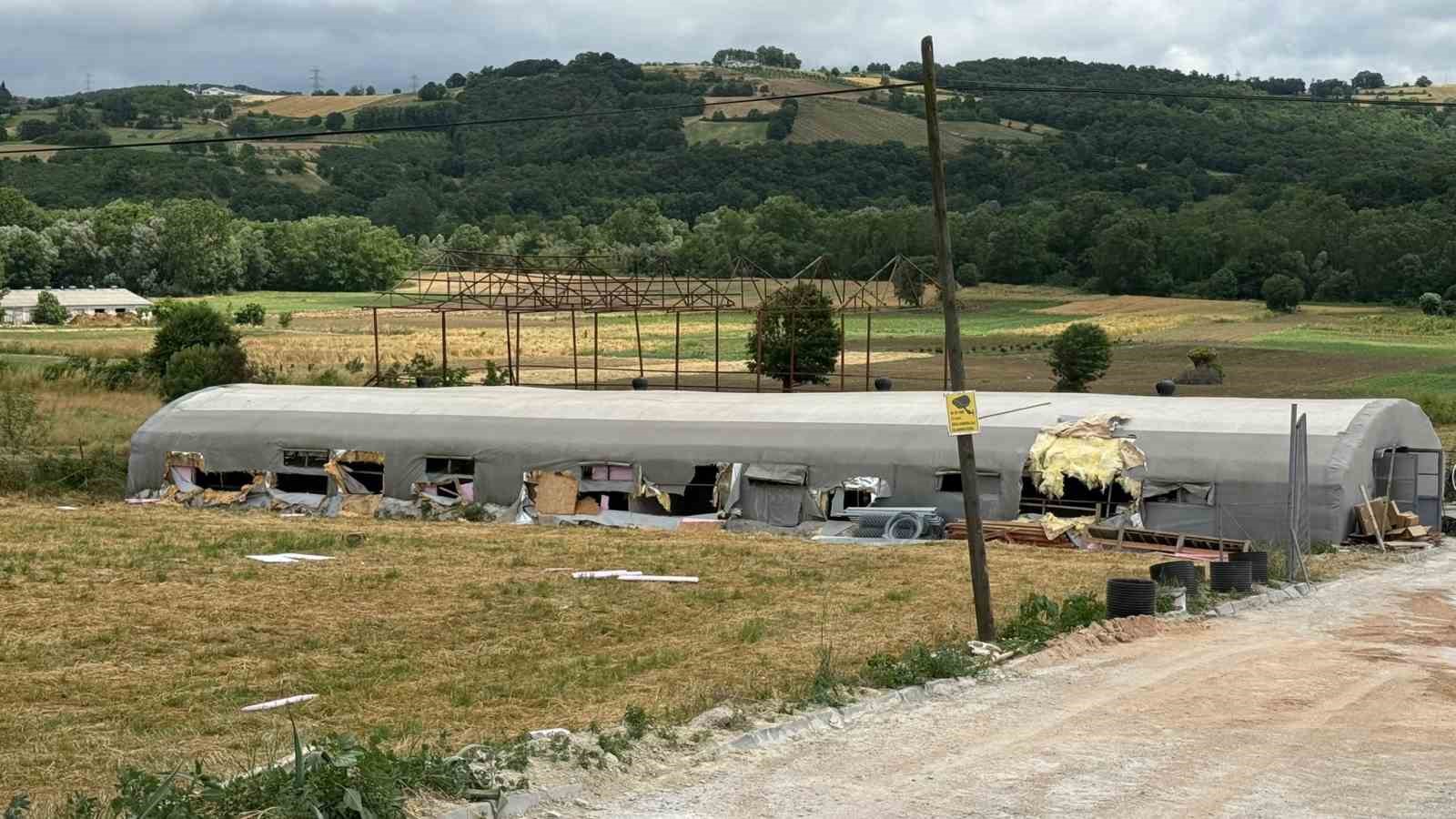 hayvan ciftligindeki yanginda 5 kuzu telef oldu bin balya kule dondu 0 V2eY67tn