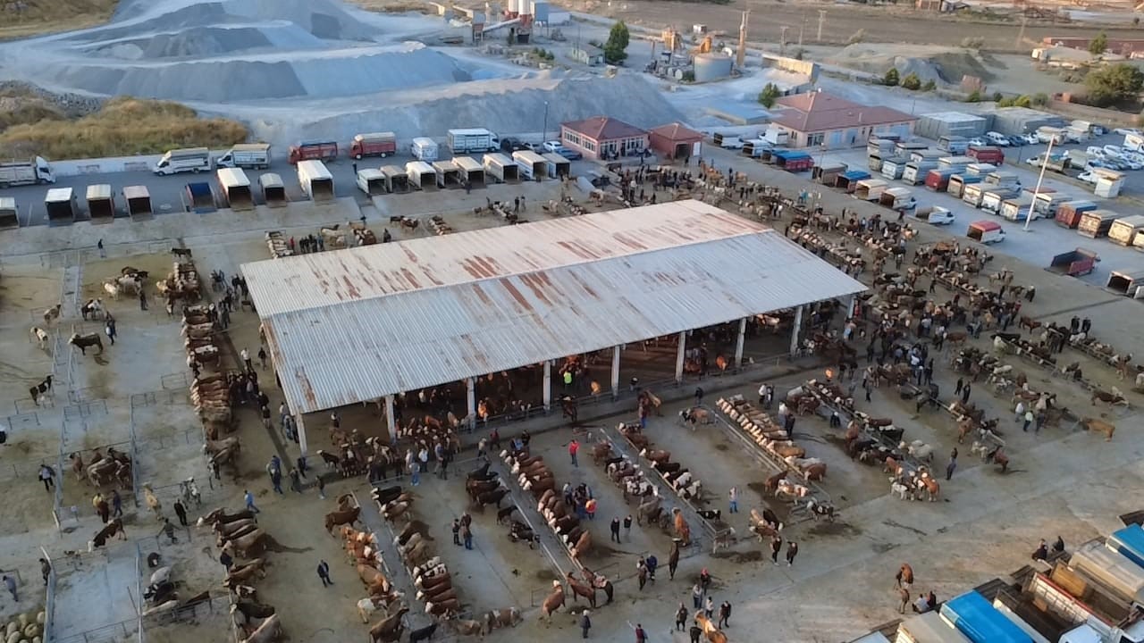 Hayvan fiyatları düşüşte, besiciler ‘Tam alım zamanı’ diyor 7 hayvan fiyatlari dususte besiciler tam alim zamani diyor 3