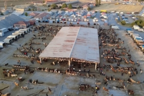 Aksu’da sel ve hortum felaketi: Milyonluk tekneler parçalandı, 700 dönüm alanda seralar sular altında kaldı 1 thumbnail
