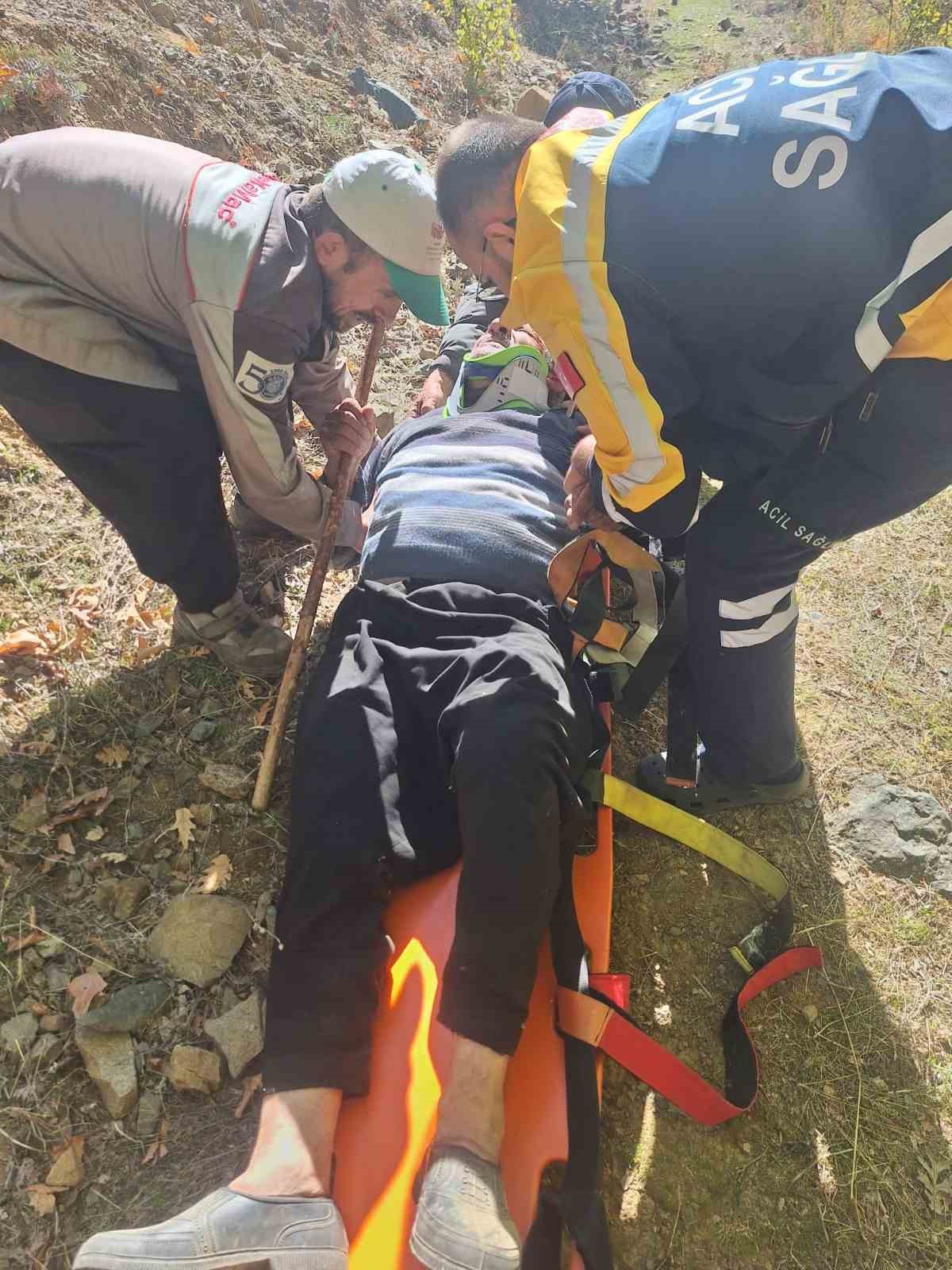 Hayvan otlatırken kayalıklardan düşen gazi kurtarıldı 1 hayvan otlatirken kayaliklardan dusen gazi kurtarildi 0 lkJVDYKC