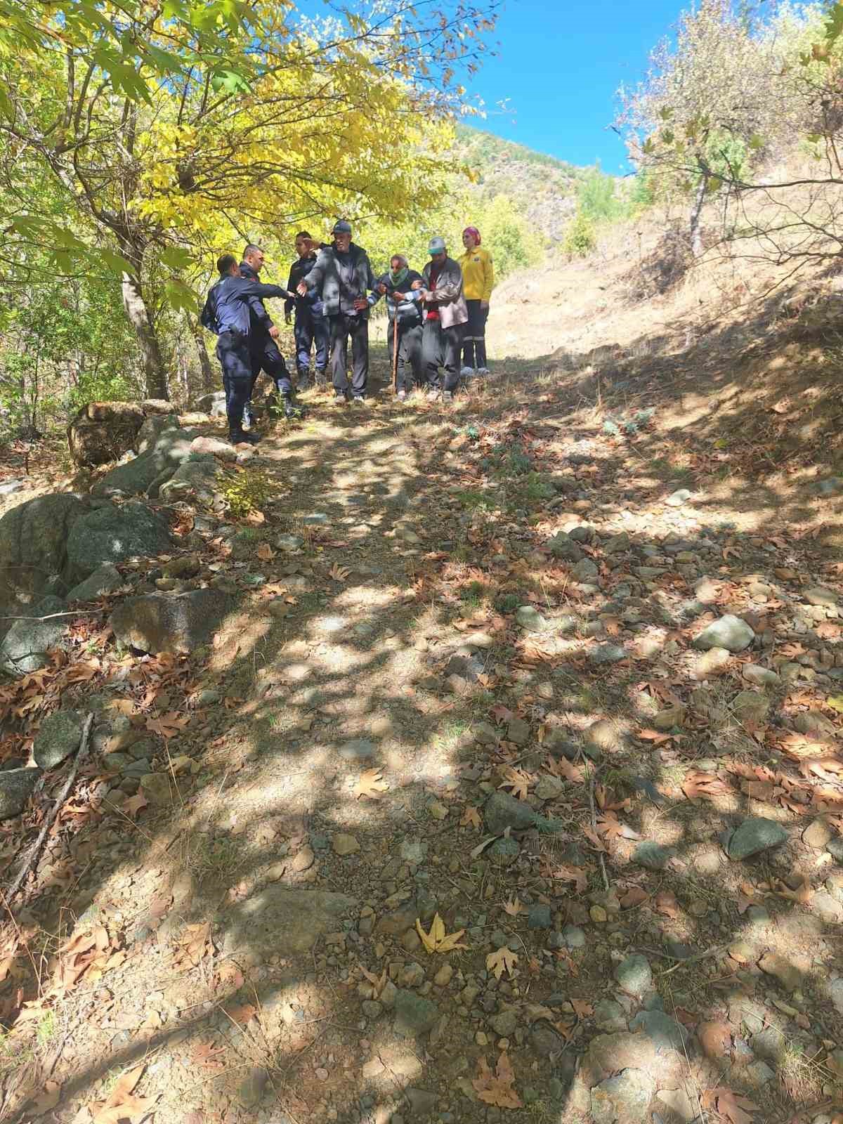 Hayvan otlatırken kayalıklardan düşen gazi kurtarıldı 6 hayvan otlatirken kayaliklardan dusen gazi kurtarildi 2