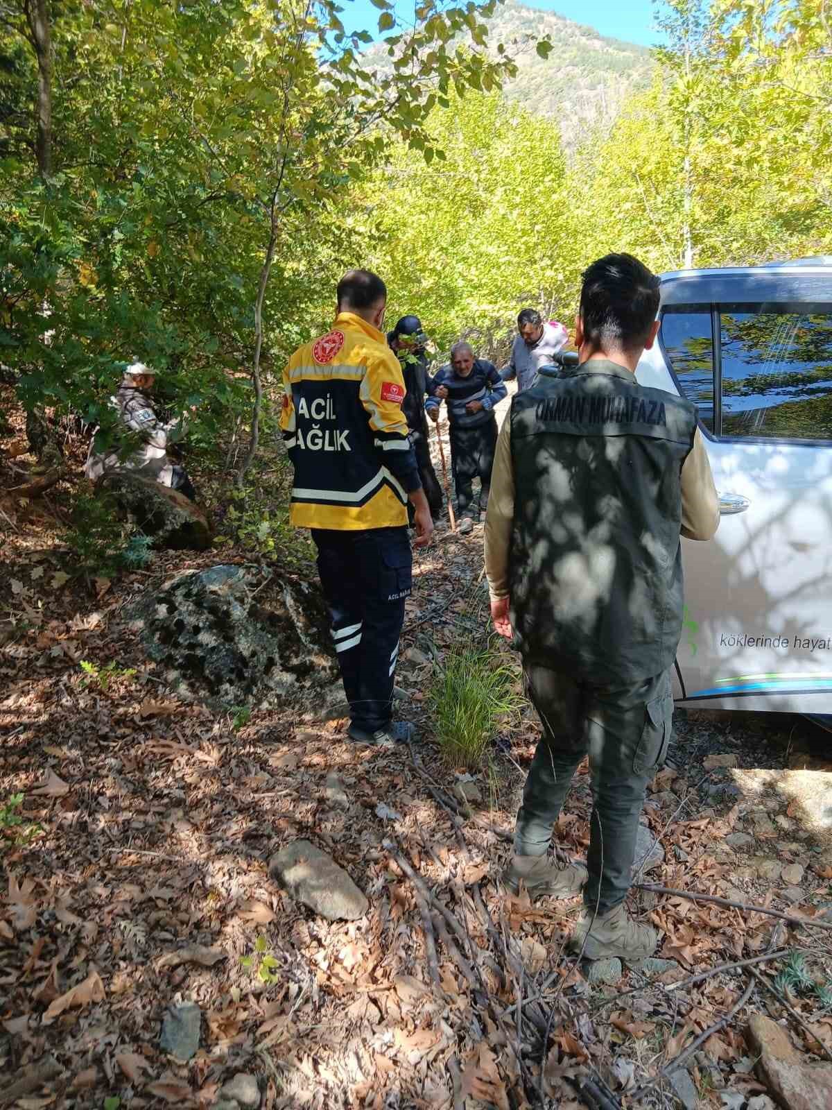 Hayvan otlatırken kayalıklardan düşen gazi kurtarıldı 7 hayvan otlatirken kayaliklardan dusen gazi kurtarildi 3 bhtMwhFB