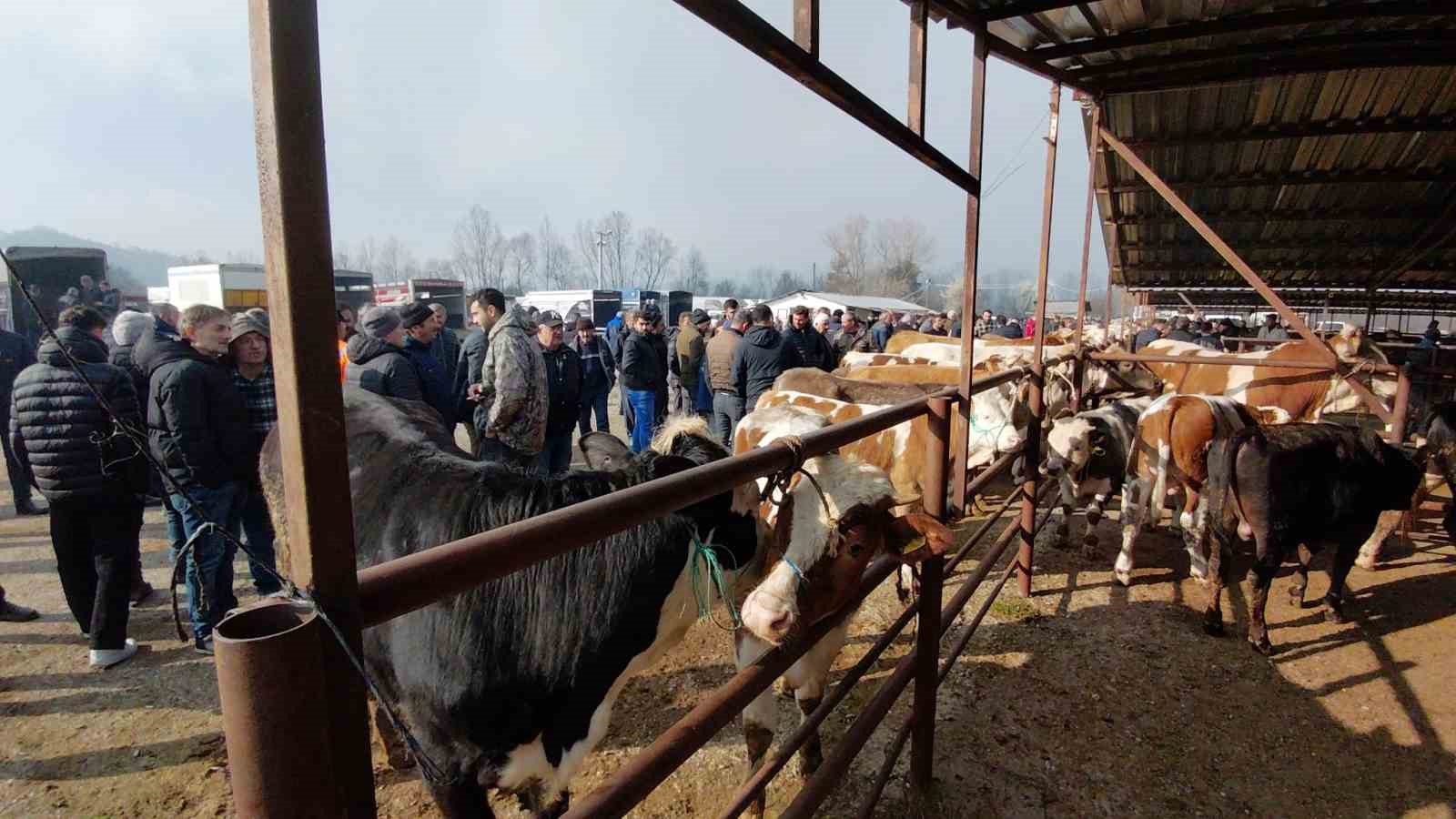 hayvan pazarinda hararetli pazarlik kamerada 4 mKpD54mr