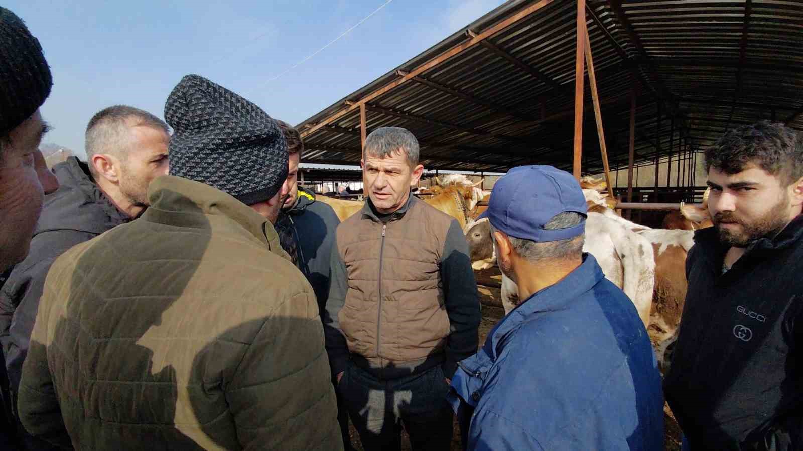 hayvan pazarinda hararetli pazarlik kamerada 5 agVO5aB8