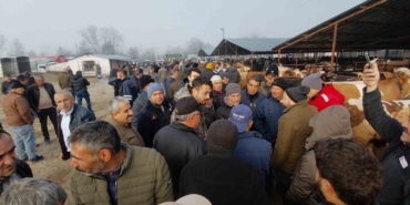 hayvan-pazarinda-hararetli-pazarlik-kamerada-6bmEpDCk.jpg