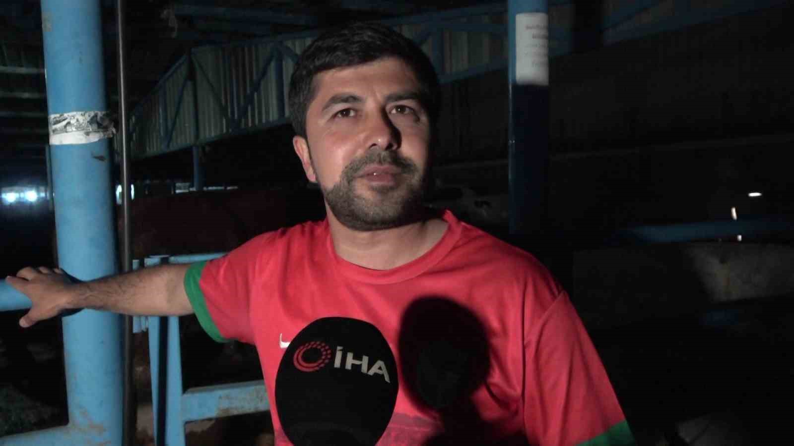 hayvan pazarinda karavan ve cadir kamping 6 fka2KkCv