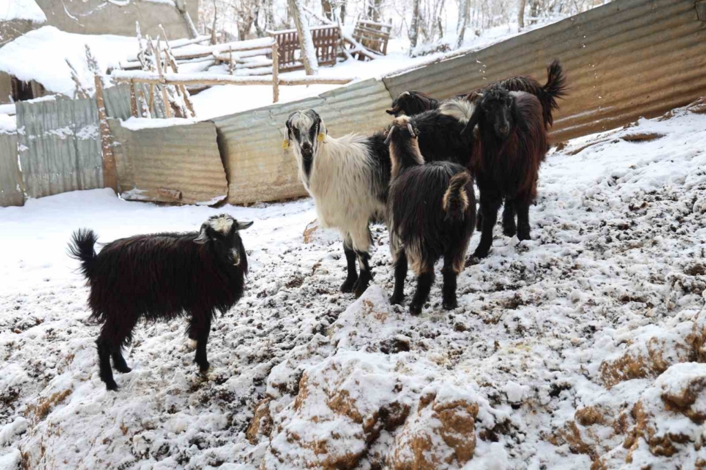featured