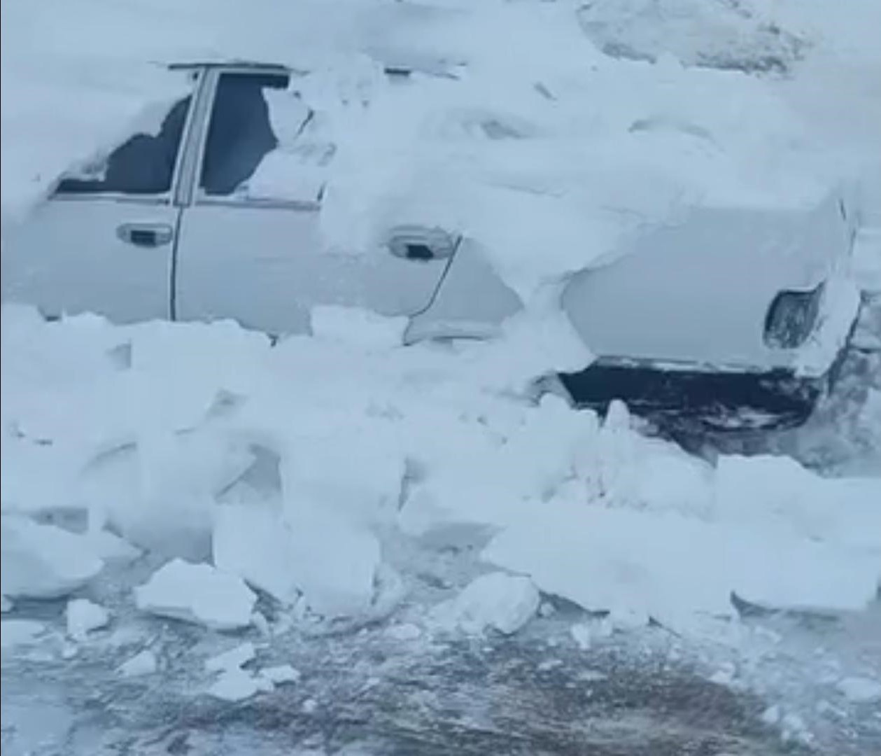 hayvanlar ac kalmasin diye ciktigi yolda olumden dondu 1 m7GC21dY
