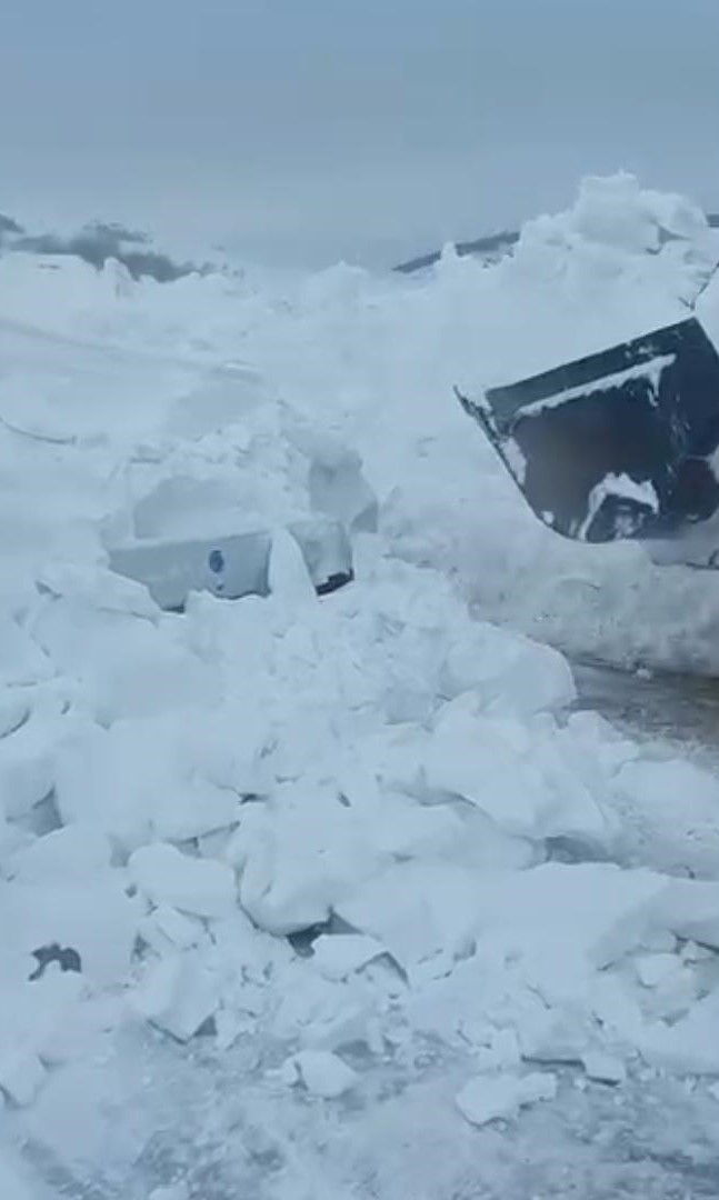 hayvanlar ac kalmasin diye ciktigi yolda olumden dondu 2 fBAJhyz2