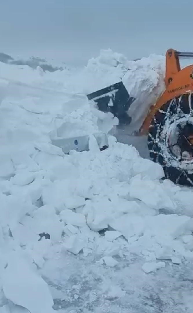 hayvanlar ac kalmasin diye ciktigi yolda olumden dondu 3