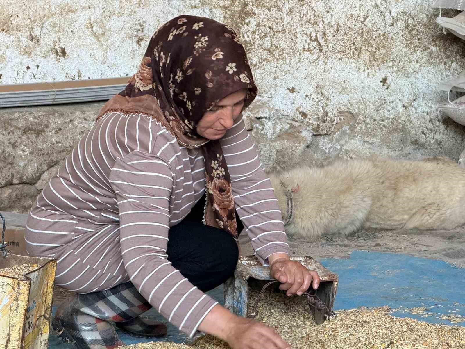 "Hayvanlara büyü yaptı" denilerek vahşice öldürülen adamın karısı tek başına çobanlık yaparak 2 oğlunu okutmaya çalışıyor 8 hayvanlara buyu yapti denilerek vahsice oldurulen adamin karisi tek basina cobanlik yaparak 2 oglunu J43PvPPO