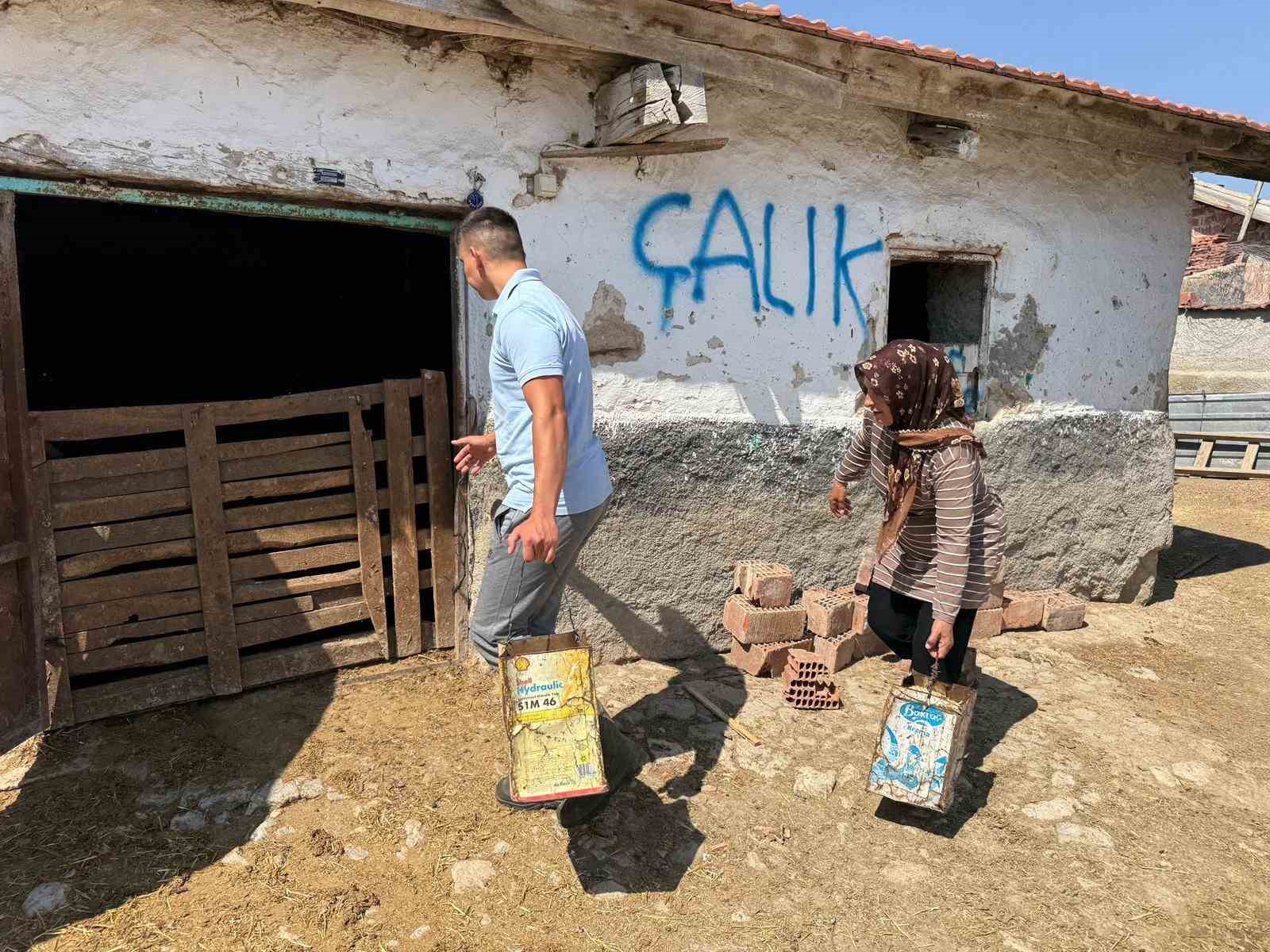 "Hayvanlara büyü yaptı" denilerek vahşice öldürülen adamın karısı tek başına çobanlık yaparak 2 oğlunu okutmaya çalışıyor 10 hayvanlara buyu yapti denilerek vahsice oldurulen adamin karisi tek basina cobanlik yaparak 2 oglunu r81KhsGu