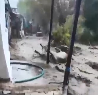 hayvanlari sele kapilan aktas adam boyu sel geldi 1 Ol6IRbli