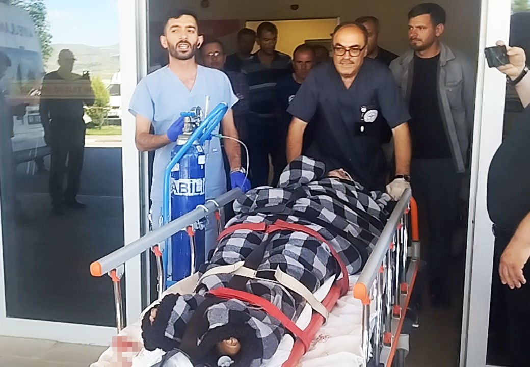 hayvanlarini otlatirken ayi saldirisina ugradi kangallar imdadina yetisti 0