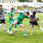 hazirlik-maci-besiktas-1-mattersburg-0-ZWGu4MdV.jpg