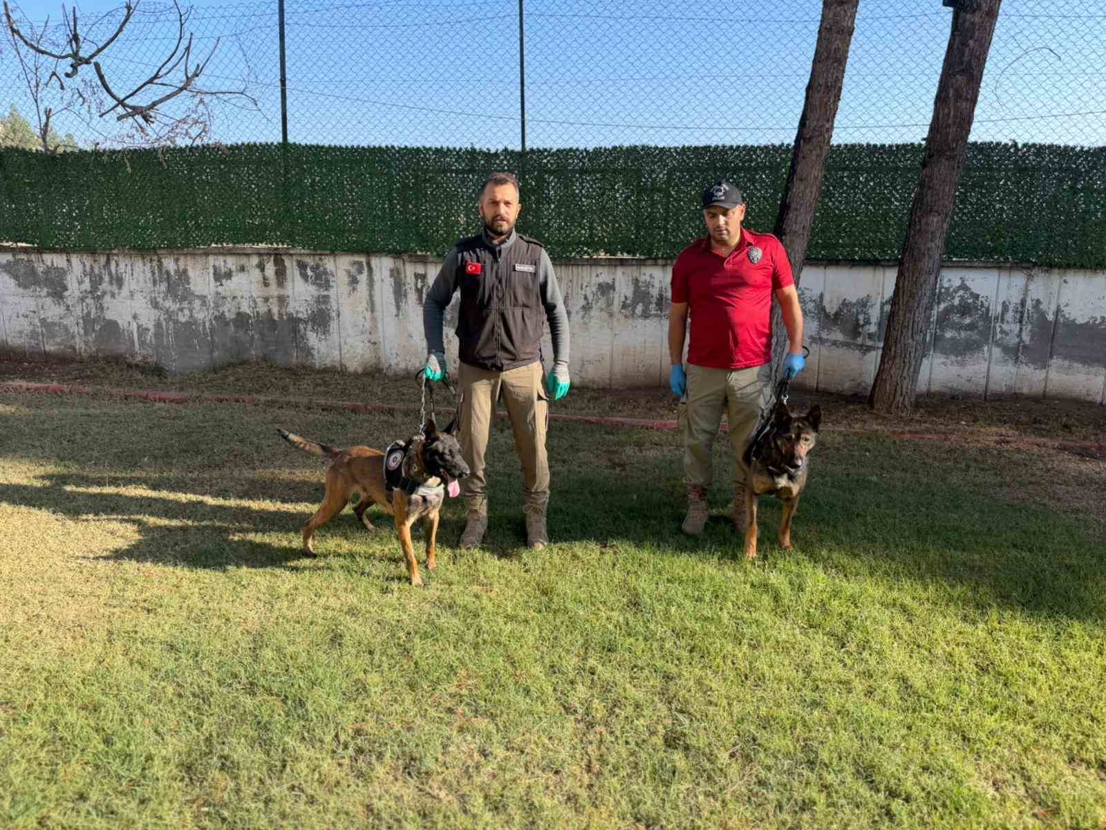 hector ve mailo batmanda uyusturucu tacirlerinin korkulu ruyasi oldu 0 MTbcku8Y