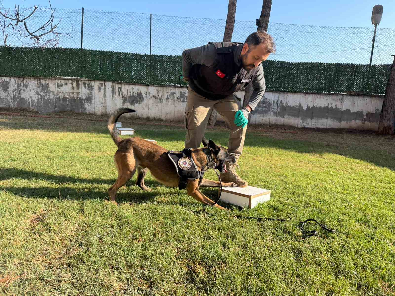 hector ve mailo batmanda uyusturucu tacirlerinin korkulu ruyasi oldu 1