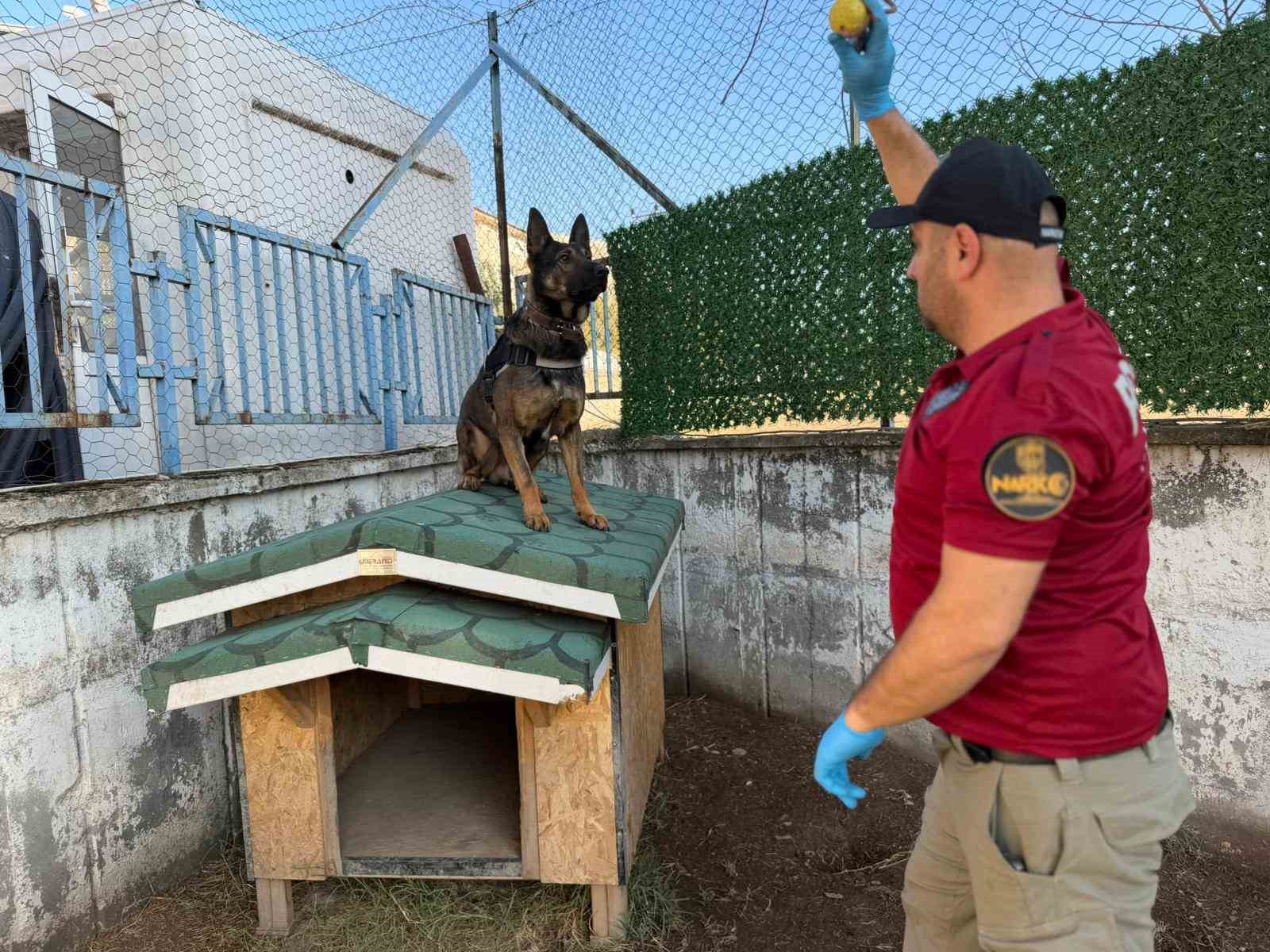 hector ve mailo batmanda uyusturucu tacirlerinin korkulu ruyasi oldu 6 w7gnTCNz