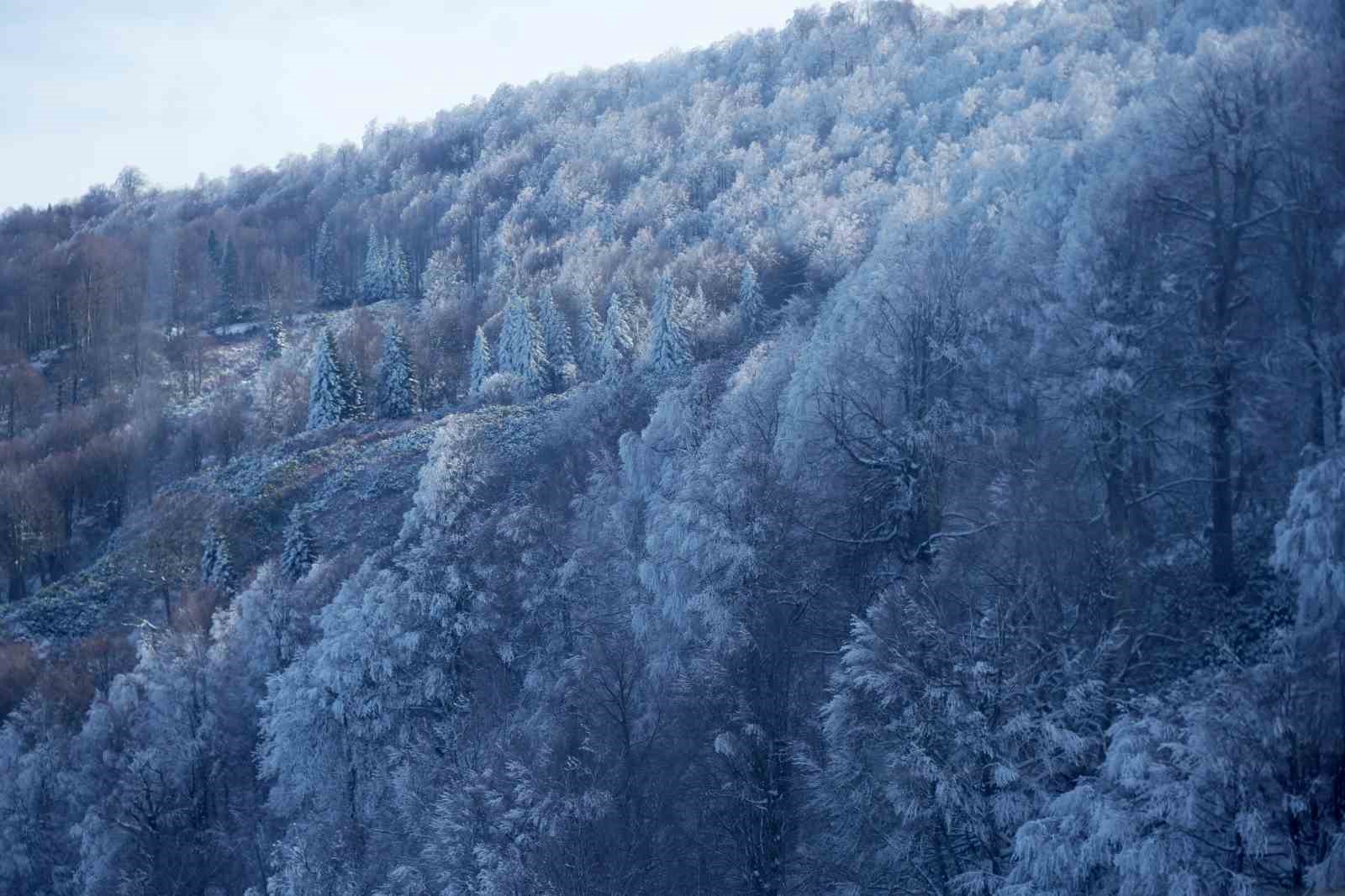 hem teleferige bindiler hem de bembeyaz ortu ustunde kar topu savasi yaptilar 15 dRSy656a