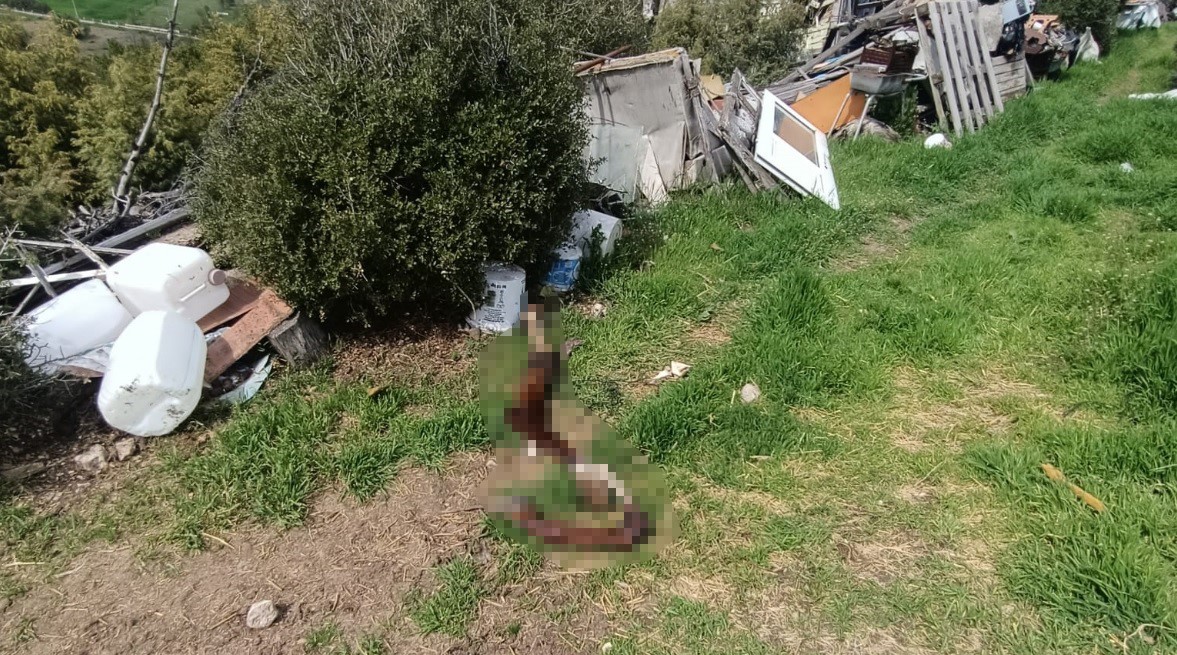 hepsi zabita ekiplerinin baskininda ortaya cikti 0 izswvgQm