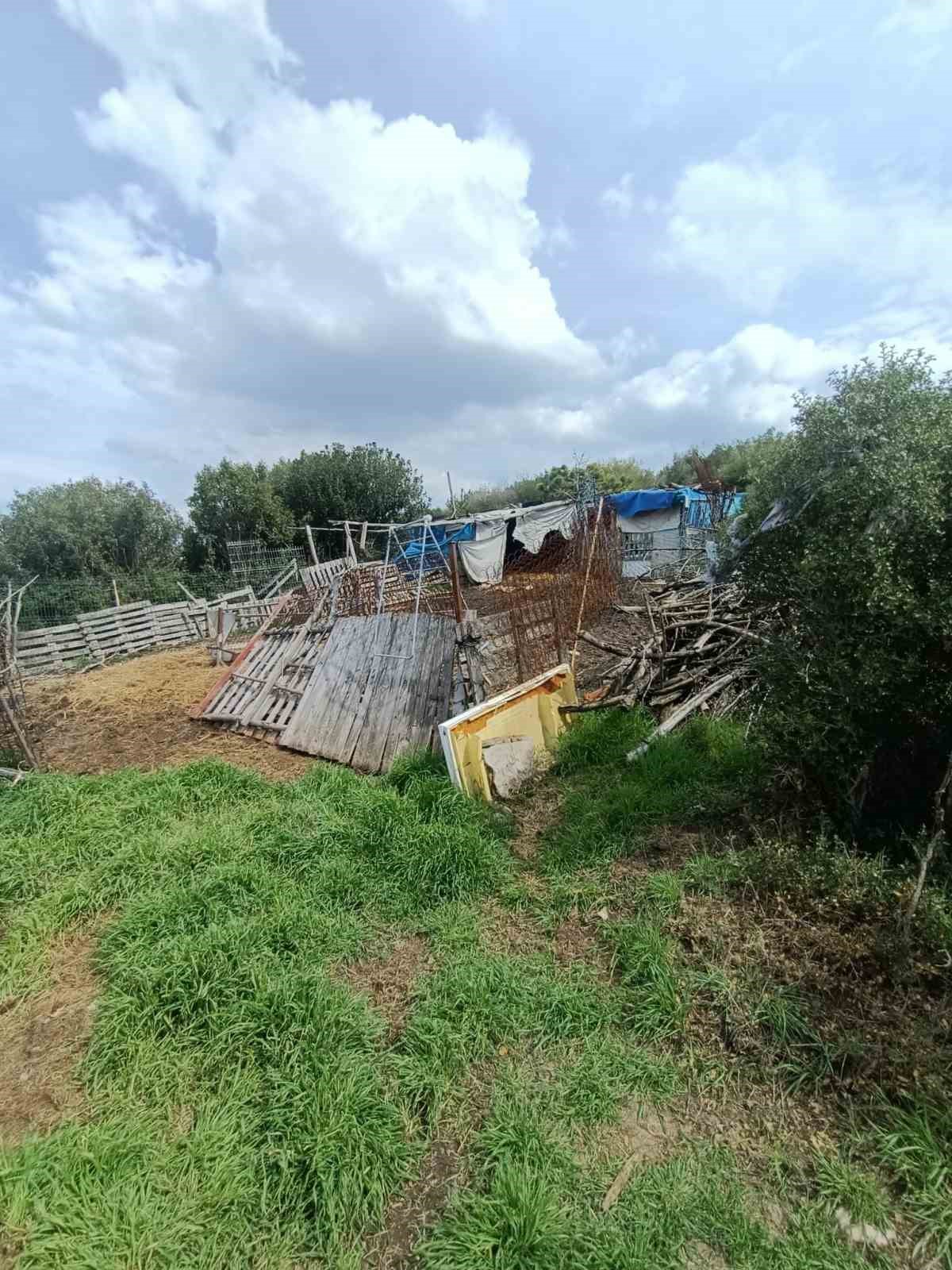 hepsi zabita ekiplerinin baskininda ortaya cikti 3 bJlp2DjB