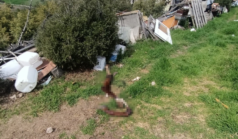 hepsi-zabita-ekiplerinin-baskininda-ortaya-cikti-IeOywfaS.jpg